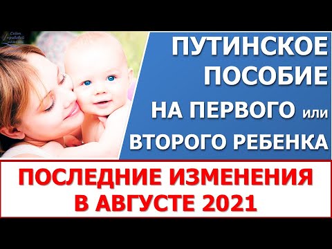 Путинское пособие на первого ребенка. Путинские выплаты. Документы на путинские выплаты. Не пришло пособие путинские. Не пришло пособие путинские.