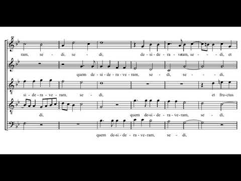 Palestrina: Sicut lilium inter spinas (Canticum canticorum) - Sixteen