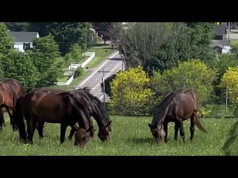 Madden Method - summer is here and we are rotating fields!