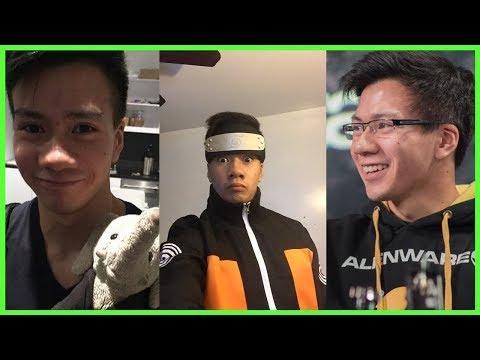 Best of Shiphtur or CHA-CHA-CHA-CHAPANYA !