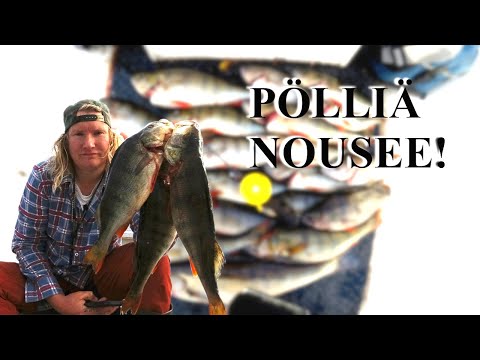 AHVENEN VENEPILKINTÄÄ MICROJIGIPÄÄLLÄ IISVEDELLÄ - 25 MINUUTTIA YHTÄ ILOTULITUSTA