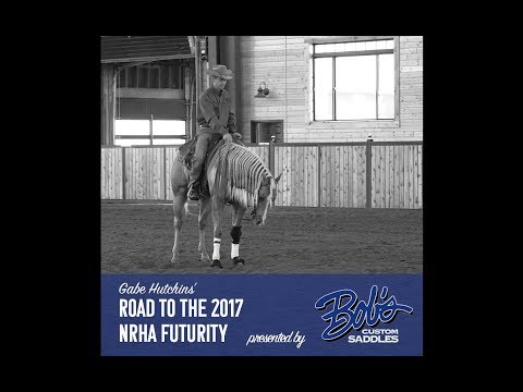 WEEK 8 Gabe Hutchins' Road to the 2017 NRHA Futurity