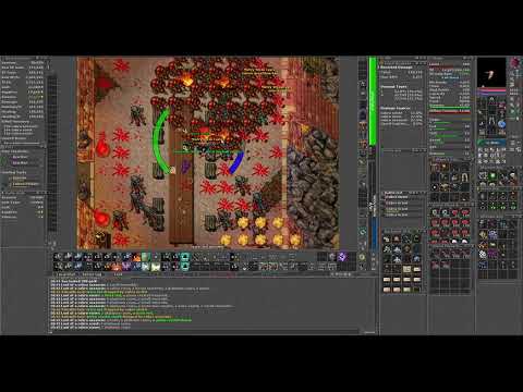 Tibia Cobra Bastion Vizier Hunt 960 MS