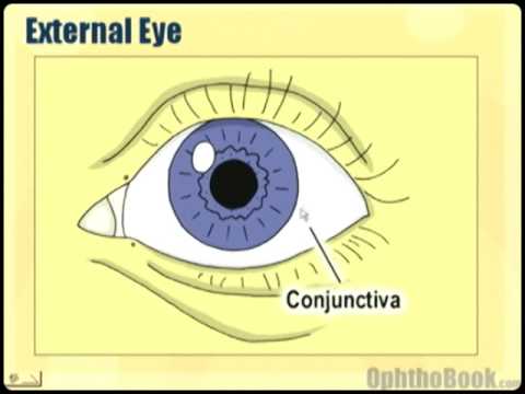 Ophthalmology Review - Compreh Video