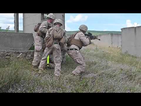 FASTEUR Marines Train with Bulgarian Service Members During Platinum Lion 2019 🇺🇸