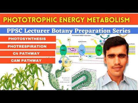 Photosynthesis,C2 ,C4,CAM Pathway, Comprehensive Discussion |PPSC Lecturer Botany Preparation Series