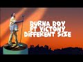 Burna Boy ft Victony - Different Size (lyrics video)