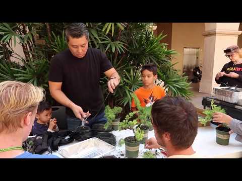 A Day in San Diego: Free Kids Bonsai Workshop