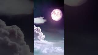 - 和風おすすめボカロ