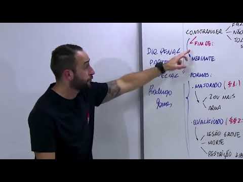 Esquadrão de Elite TSE - Direito PCD - Prof. Lilian Novakoski