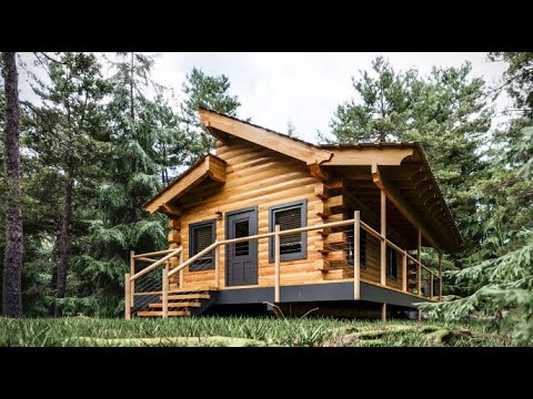 Log Cabin Building TIMELAPSE Built by ONE MAN (and Grandson)
