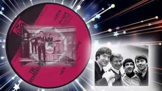 The Searchers -  He&#39;s Got No Love