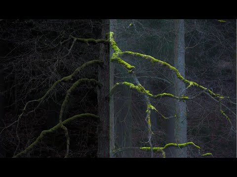 Darktable Episode 67: Advanced masking part 1: parametric masks