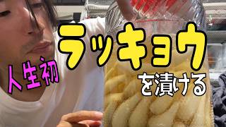 人生初のラッキョウを漬ける