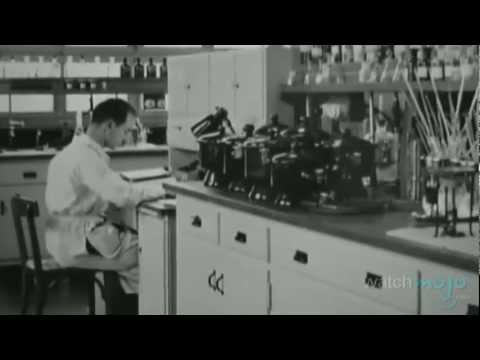 download lagu mp3 mp4 Einstein Lsd, download lagu Einstein Lsd gratis, unduh video klip Einstein Lsd