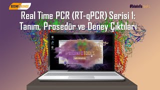Real Time PCR (RT-qPCR) Serisi 1: Tanım, Prosedür ve Deney Çıktıları | Bioinfoto