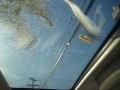 McDonald S Fries Vs Starving Seagulls On Sunroof Of Our Car