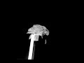 Slo Mo Pellet From Mr Hootie Charlo Ospreys Nest 07 December 2018