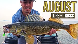AUGUST WALLEYE TIPS (Mid/Late Summer + Dog Days Tactics)