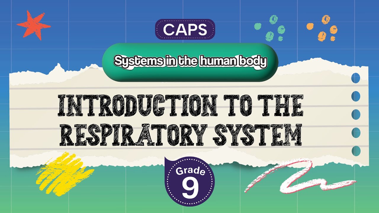 [GRADE 9] Introduction to the respiratory system