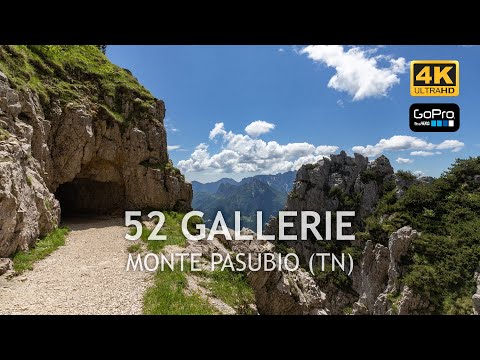 Con i cani sulla Strada delle 52 Gallerie del Monte Pasubio - 4k