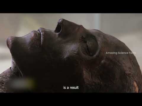 Why Mummies Don't Decay?