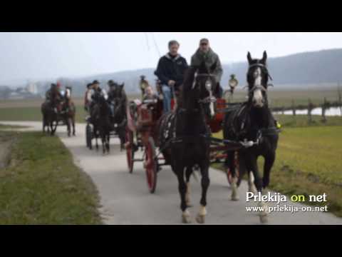 Vožnja s konjsko vprego