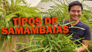 Miniatura do vídeo