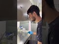 Biotechnology Student Biotechnology Engineering Future