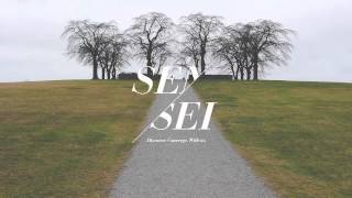 Tomas Barfod - Busy Baby feat. Nina K (Beacon Remix)