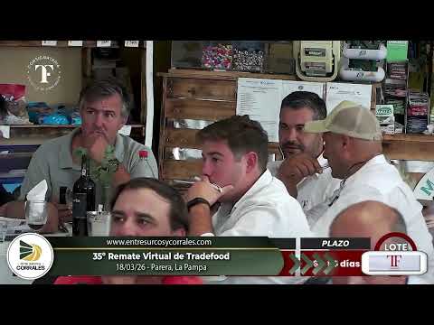 18-03-26 - 35º Remate Virtual de Tradefood - Parera, La Pampa