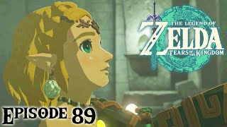 Ganon Will Survive - Tears Of The Kingdom - (89)