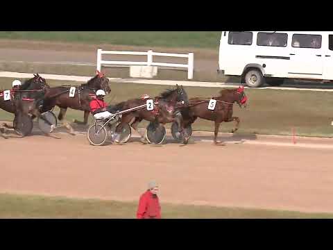 2022.11.19. 02. futam - ZÁPOLYA DÍJ