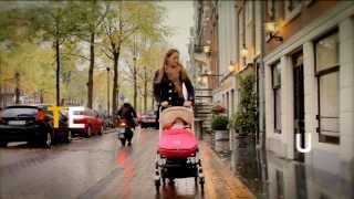 bugaboo bee in daily life