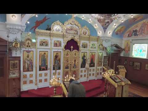Divine Liturgy; Homilist Fr. Josiah Trenham; Orthodox gathering at Walk for Life