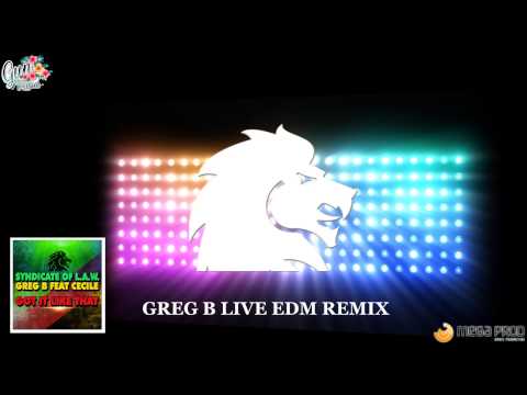 GREG B & SYNDICATE OF LAW FEAT CE'CILE - GOT IT LIKE THAT   [ GREG B EDM LIVE REMIX ]