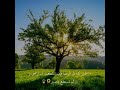 اجمل حالات واتس اب دينيه يوم الجمعة|| اسلام صبحي ||مقاطع انستقرام قصيرة يوم الجمعة 🌻❤️