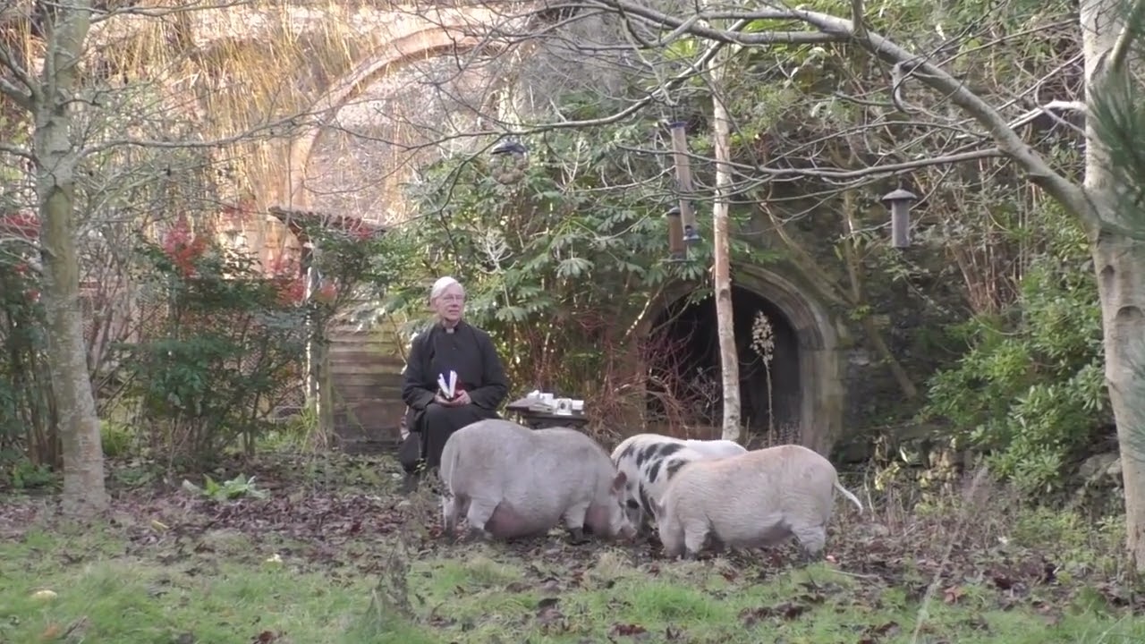 Morning Prayer – Friday, 29th January 2021