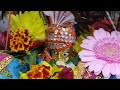 Krishna Janmashtami 2021 Amsterdam Krishnashtami In Europe Shiva Hindu Temple Netherlands Shorts