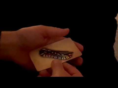 Saturn Magic - EVOLUTION by Paul Gordon - Trick