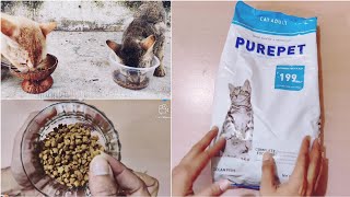 Purepet Cat Food Review | Best Cat Food In India.