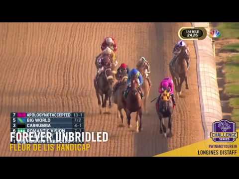 2017 Fleur de Lis - Forever Unbridled