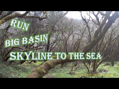 Run Big Basin Skyline to the Sea