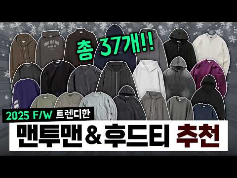 2025 FW 트렌디한 맨투맨/후드티 모음! 대중적 가격부터 컨템포러리까지