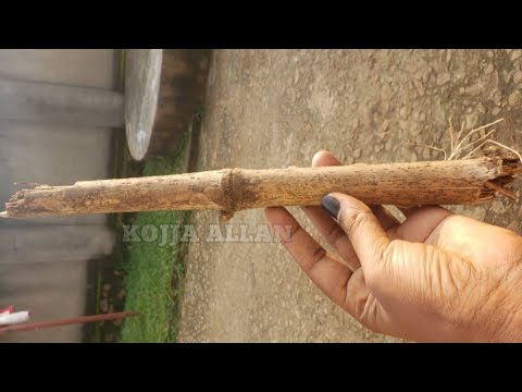 Olumuli EDAGALA Elitereeza Amaka Nokwegobako Empalana (Olumuli)