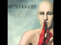 Meshuggah - Pravus (Ermz Remaster)