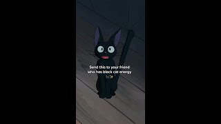 Jiji’s Black Cat Energy