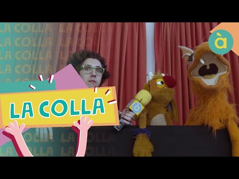 Ho Peta! | Butoni es cola a l'escola