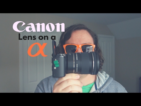Using a Canon Lens on a Sony Camera: Fotodiox Pro Fusion Adapter (and happy Presidents Day?)