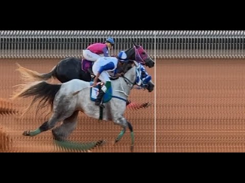 CORRIDA DE CAVALOS - XXXIV FESTEJO DO QUARTO DE BODE 2026 PART. 2 - AMAJARI - RORAIMA